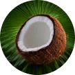 Creamy Coconut