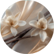 Creamy Vanilla
