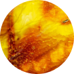 Soft Benzoin